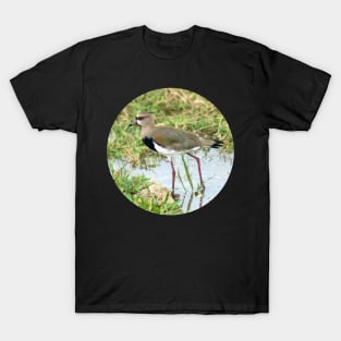 bird in the water in Venezuela T-Shirt